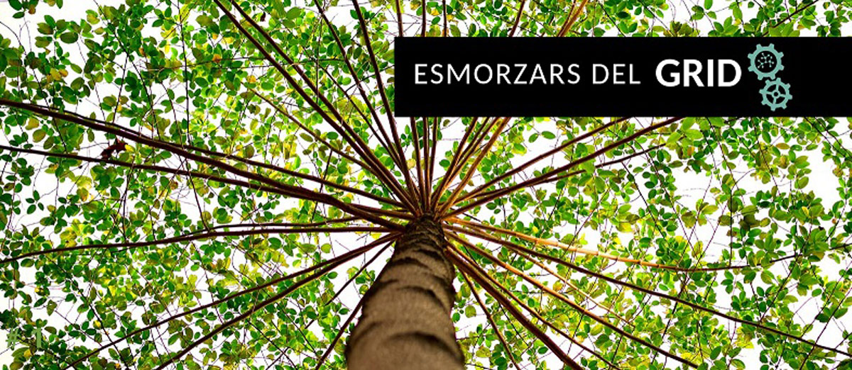 Esmorzars GRID